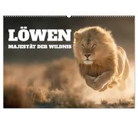 Löwen - Majestät der Wildnis (Wandkalender 2026 DIN A2 quer), CALVENDO Monatskalender: Löwen in Afrikas Wildnis verkörpern Majestät und Eleganz. ... und Steppe ein ganzes Jahr lang in Bildern