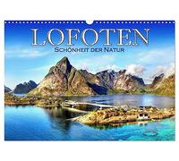 Lofoten, la beauté de la nature, Version française (Calendrier mural 2026 DIN A3 portrait), Calendrier CALVENDO mensuel