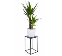 Loft Support à Fleurs en métal 40 cm Noir