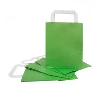 Logbuch-Verlag 25 petit sacs papier vert clair 18 x 22 x 8 cm emballange cadeau vente clients pochettes sachets avec poignée artisanat