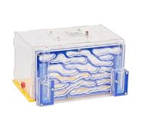 Logement Nid Ferme Fournitures de Bricolage Villa Apprentissage Habitat Boîte de Présentation pour La Fête des Enfants Cadeau d'anniversaire Amour, Bleu