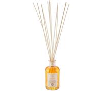 Logevy - Parfumeur D'environnement 3 Litres Pour Le Bien-Être De La Personne Et De La Maison - Cinnamon Orange