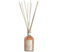 Logevy - Parfumeur D'environnement 500ml Pour Le Bien-Être De La Personne Et De La Maison - Gingembre Et Citron Vert