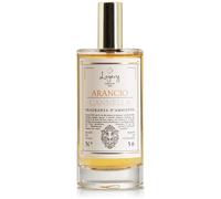 Logevy - Parfumeur Pour Environnements Eco-Spray 100 Ml Pour Le Bien-Être De La Personne Et De La Maison - Cinnamon Orange