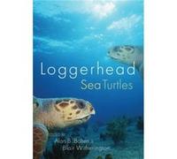 Loggerhead Sea Turtles Loggerhead Sea Turtles (Auteur)