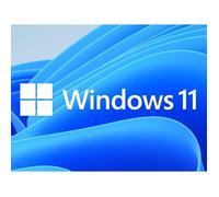 Logiciels - Microsoft - Windows 11 Pro + Office 365 - Téléchargement - 1 PC - Licence numérique