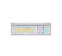 LOGICKEYBOARD Dyslexie Keyboard Alba FR (Mac)