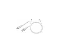 LogiLink Câble USB 2.0, USB-C - USB-B mâle, 1,0 m, gris