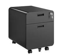 Logilink EO0080 Armoire de classement Mobile sur roulettes avec 2 Compartiments, verrouillable, jusqu'à 15 kg