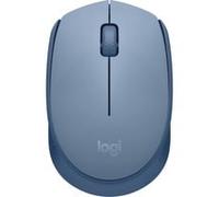 Logitech M171, Souris