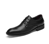 Logitech SYktcjgs Fashion Oxford Chaussures pour Hommes Chaussures Formelles à Lacets Style PU Cuir Loisirs Business Bout Rond (Creux en Option) (Couleur : Noir, Taille : 41 EU)