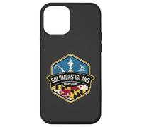 Logo de l'île Salomon Maryland avec Drapeau MD Vieilli Coque pour iPhone 12 Mini
