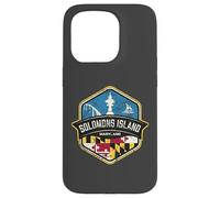 Logo de l'île Salomon Maryland avec Drapeau MD Vieilli Coque pour iPhone 15 Pro