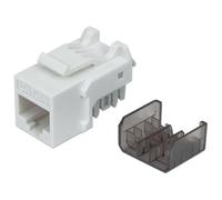 Module Keystone RJ45 Cat6a 10 Gigabit, UTP, blanc IWP-MD C6A/WH