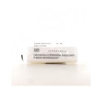 Lohmann & Rauscher Velpeaunyl Banda elastica 10cmx4cm