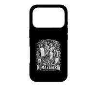 Loi Numa et Egeria du Printemps de Rome Coque pour iPhone 17 Pro