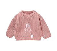 LOIJMK Boys Girls Infants Fall and Winter Cute Bunny Embroidery Warm Knitted Sweater Pullover Garçon Noir, Rose, 2-3 ans