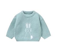 LOIJMK Boys Girls Infants Fall and Winter Cute Bunny Embroidery Warm Knitted Sweater Pullover Garçon Noir, bleu, 9-12 mois