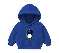 LOIJMK Sweat-shirt pour tout-petit dinosaure fille sweat à capuche bébé pull tops tout-petit fille hauts maître thé pull homme, bleu, 4-5 ans