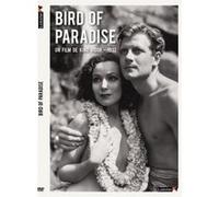 L'oiseau de paradis DVD E