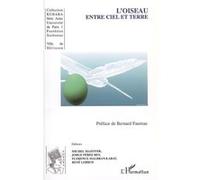 L'oiseau entre ciel et terre Jorge Perez Rey (Auteur), Michel Mazoyer (Auteur)