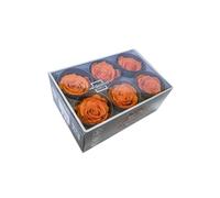 Loisirs créatifs RST/253G - Lot de 6 Tètes de Rose Fleur Orange 5 x 5 x 5 cm