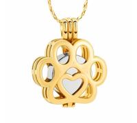LOKAXXZU Bijoux de crémation pour Animaux de Compagnie pour Cendres Collier commémoratif en Acier Inoxydable Mini Keepsake Cremation Urn pour la Patte de Chien/Chat (Rouge Rouille, Marron)