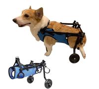 LOKLNEYK Fauteuil Roulant à 2 Roues for Chien Corgi, Dispositif de rééducation réglable for Animaux Compagnie, attelles for Pattes paralysé, Chariot for Chat, Aides la mobilité(S)