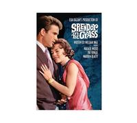 LOKLNEYK Poster du film Splendor in The Grass - Décoration pour chambre à coucher, bureau, chambre - Cadeau - 40 x 60 cm