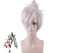 LOL Riven la lame de l'exil perruque Cosplay Costume argent gris court cheveux synthétiques perruques avec puce queue de cheval 371