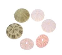 LOLIPPYY 6 pièces Décorations Naturelles Coquilles Conques et Oursins pour Aquarium Accessoires Sûrs et Polyvalents pour Décoration de Bassin et Ambiance Couleur Couleur Aléatoire