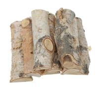 LOLIPPYY 8 Pièces Blocs de Naturels pour DIY Décoration de Noël Bâtons pour Photo Accessoires et Décorations de Table Matériaux Artisanaux pour Aquarium et Fêtes