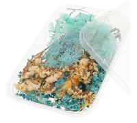 LOLIPPYY Boîte de Fleurs Séchées et Pressées pour Résine - Kit DIY 1 Boîte - Décor Fleurs Séchées pour Nail Art Bougies Savons et Objets Artisanaux - Fournitures Créatives pour