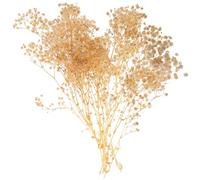 LOLIPPYY Bouquet de Fleurs Séchées de Gypsophile Blanc 44 Cm 40 G pour Décoration Mariage, Table et Intérieur, Fleurs en Vrac pour Ambiance Naturelle et Décor Floral Solide