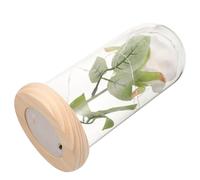 LOLIPPYY Dôme de Verre Rose Éternelle Blanche Décoration Intérieure Originale sous Cloche en Verre Ornement Floral Préservé pour Présent Saint-Valentin Décoration Maison Élégante