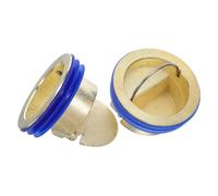 LOLIPPYY Lot de 2 Bouchons de Siphon de Sol en Alliage Cuivre-Aluminium Clapet Anti-Retour Anti-Odeurs et Anti-Insectes Protection pour Grille Dispositif D’Évacuation pour Salle de