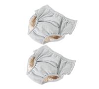LOLIPPYY Lot De 2 Culottes Urinoir Lavables Pour Adultes, Culottes Anti-fuites En Coton Gris L, Respirantes Et Étanches, Adaptées Personnes Âgées Et Incontinence Femme, Usage Hospitalier Et Quotidien