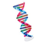 LOLIPPYY Modèle de Double Hélice Adn à Assembler Équipement Scientifique Éducatif pour Apprentissage des Gènes Humains Kit Pédagogique Spiralé Facile et Précis