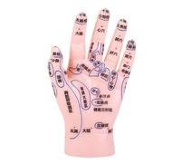 LOLIPPYY Modèle De Main Acupuncture Et Réflexologie Pour Enseignement Médecine Chinoise Simulation Précise Des Zones Et Points Acupuncturaux Pour Pratique De Massage Et Formation Tcm
