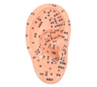 LOLIPPYY Modèle D'oreille Réaliste en Pvc Solide, Outil de Massage Auriculaire Points D'acupuncture Précis en Chinois, Compact et Portable pour Enseignement Médecine Traditionnelle