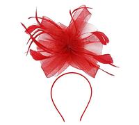 LOLIPPYY Ornement De Tête Plume Élégant Accessoire Fait Main Filet Pour Mariage Et Occasions Spéciales Pour Femmes Et Filles
