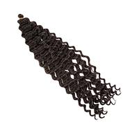 LOLIPPYY Perruque Femme Afro Tressée à Pigtails Accessoire De Cheveux Africain Mode Pour Fête Événements Spéciaux Et Look Naturel