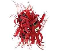 LOLIPPYY Pinces à Cheveux Fleuries pour Cheveux Épais Grandes, Coupe-griffes Rouge Vif, Maintien, Femmes, Coiffure Quotidienne, Pince à Griffes Large