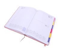 LOLIPPYY Planificateur Quotidien Rose Compact Carnet de Planification Jours Pour Bureau École et Voyageur