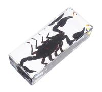 LOLIPPYY Presse-papiers Résine Transparent avec Spécimen de Scorpion Conservé Insecte Éducatif pour Bureau et Décoration Scientifique