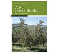 L'olivo a vaso policonico. Terroir e sostenibilità