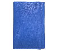 LOLUNA® Porte Papier Voiture Cuir Souple, Format 3 Volets Compact, Carte Grise, permis, identité, Assurance, crédit (Bleu Clair)