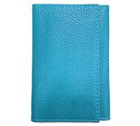 LOLUNA® - Porte Papier Voiture en Cuir Graine Souple - Format 3 Volets Compact - Etui Carte Grise, permis, identité, Assurance, crédit, dans Plusieurs Couleur pour Homme et Femme (Ciel Turquoise)