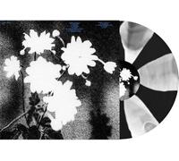 Loma Prieta - Last