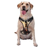 London Color Taxi Gilet de traction pour animaux de compagnie à porter lors de la promenade du chien ou de l'escalade des montagnes Taille M